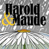 Harold and Maude Title